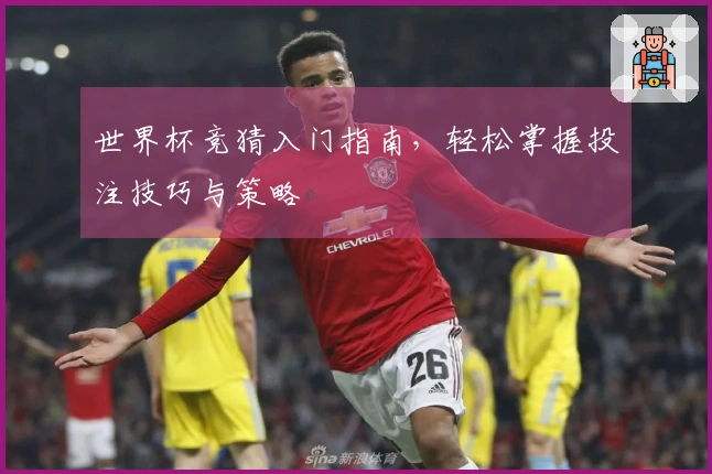 世界杯竞猜入门指南，轻松掌握投注技巧与策略