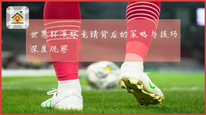 世界杯滚球竞猜背后的策略与技巧深度观察