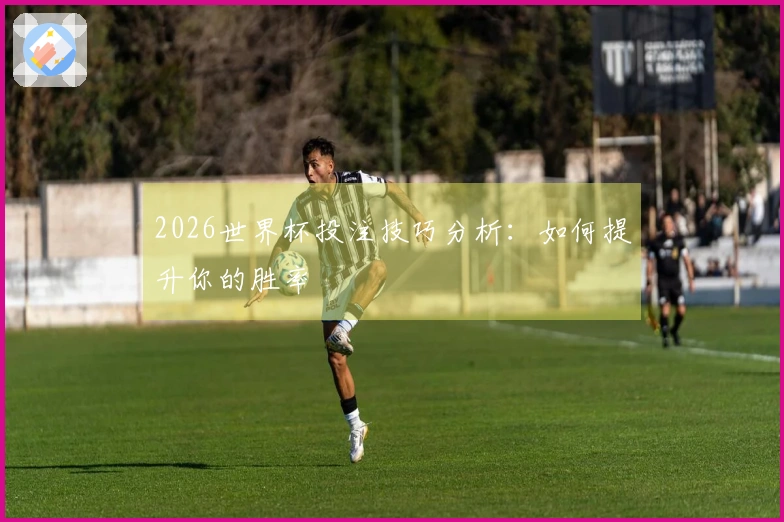 2026世界杯投注技巧分析：如何提升你的胜率