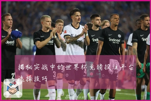 揭秘实战中的世界杯竞猜投注平台选择技巧