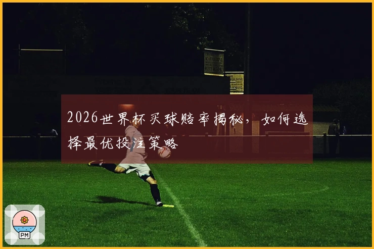 2026世界杯买球赔率揭秘，如何选择最优投注策略
