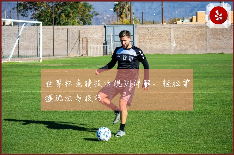 世界杯竞猜投注规则详解，轻松掌握玩法与技巧