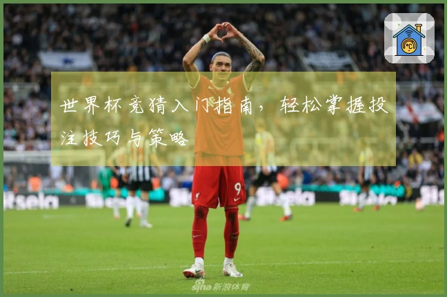 世界杯竞猜入门指南，轻松掌握投注技巧与策略