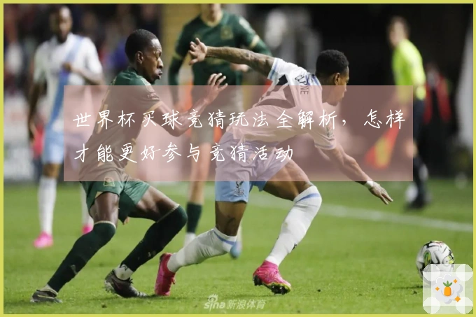世界杯买球竞猜玩法全解析，怎样才能更好参与竞猜活动