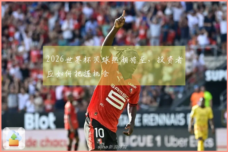 2026世界杯买球热潮将至，投资者应如何把握机会