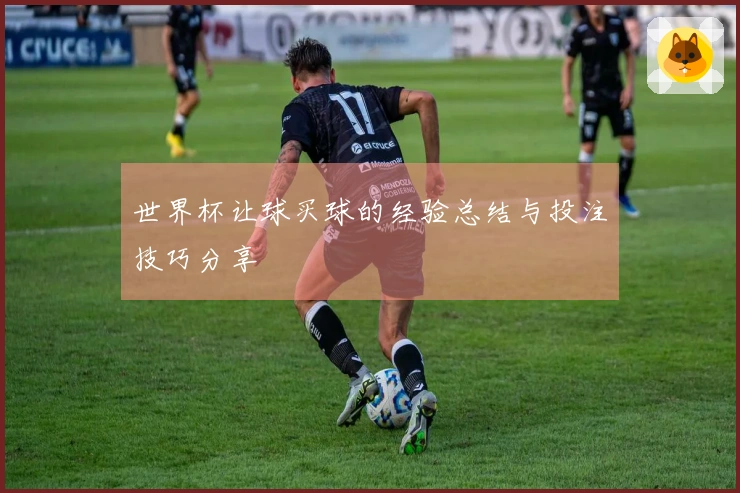 世界杯让球买球的经验总结与投注技巧分享