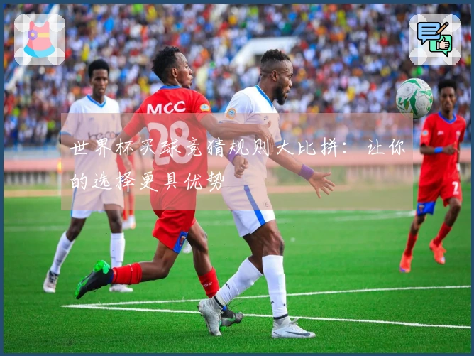 世界杯买球竞猜规则大比拼：让你的选择更具优势
