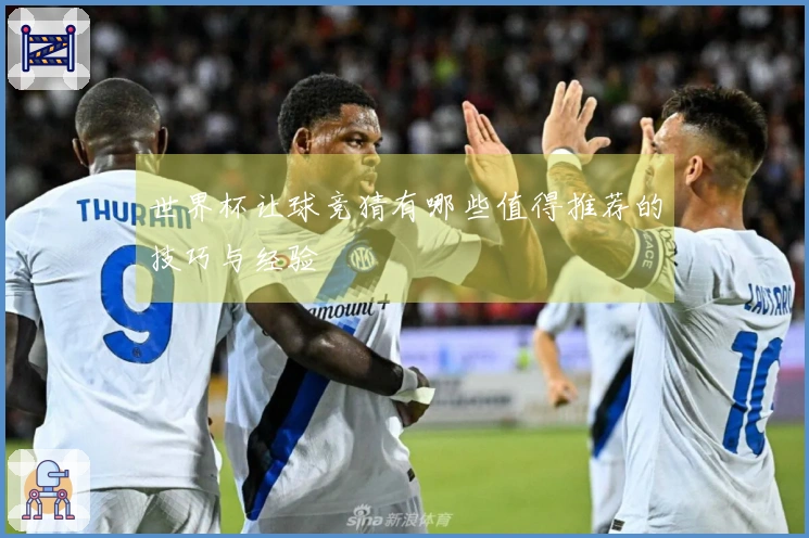 世界杯让球竞猜有哪些值得推荐的技巧与经验