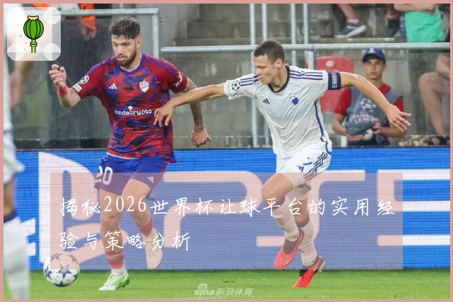 揭秘2026世界杯让球平台的实用经验与策略分析