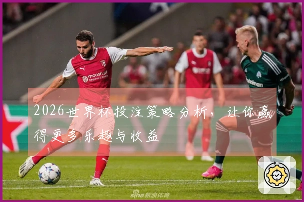 2026世界杯投注策略分析，让你赢得更多乐趣与收益