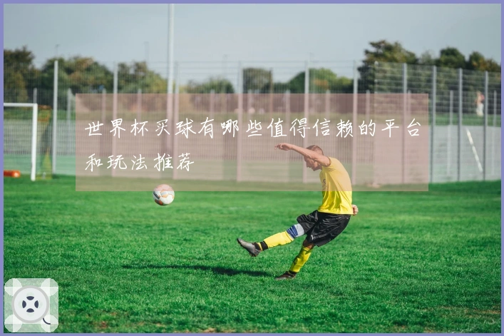 世界杯买球有哪些值得信赖的平台和玩法推荐