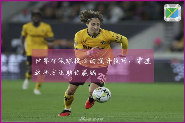 世界杯滚球投注的提升技巧，掌握这些方法助你赢钱