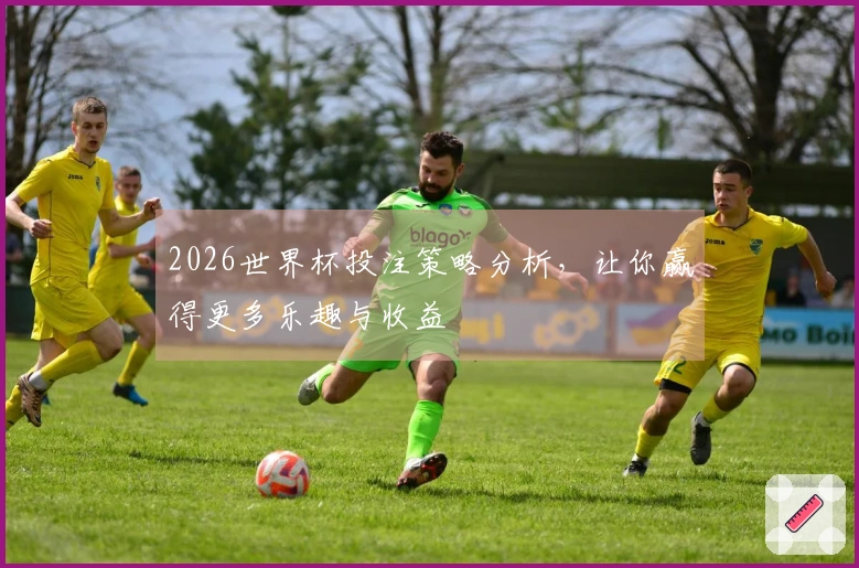 2026世界杯投注策略分析，让你赢得更多乐趣与收益